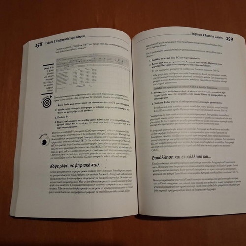 Microsoft Office Excel 2007 for Beginners book by Greg Harvey