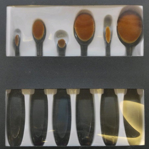 Professional set of 6 makeup brushes new