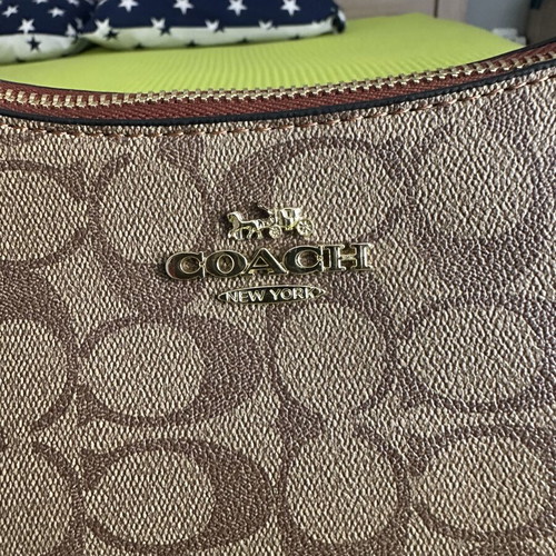 Teri Mini Crossbody Bag in Signature Canvas new, brown, Coach