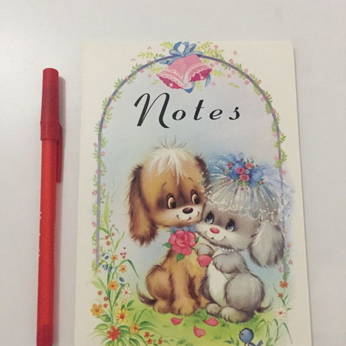Correspondence pad new with many sheets
