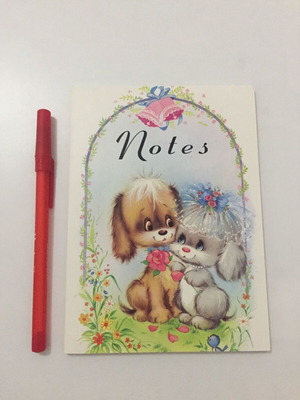 Correspondence pad new with many sheets