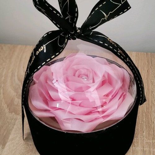 Handmade rose in dome new, satin ribbon in velvet box