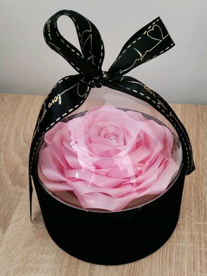 Handmade rose in dome new, satin ribbon in velvet box