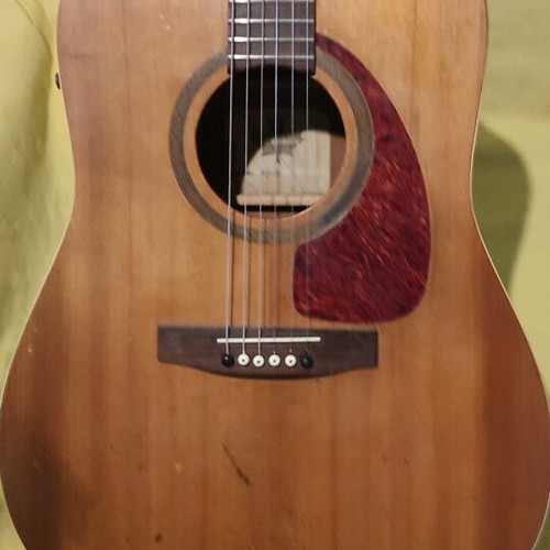 Norman B20 Electro-Acoustic Guitar like new