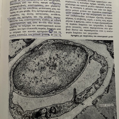 Histology book used, 400 pages with 400+ photos