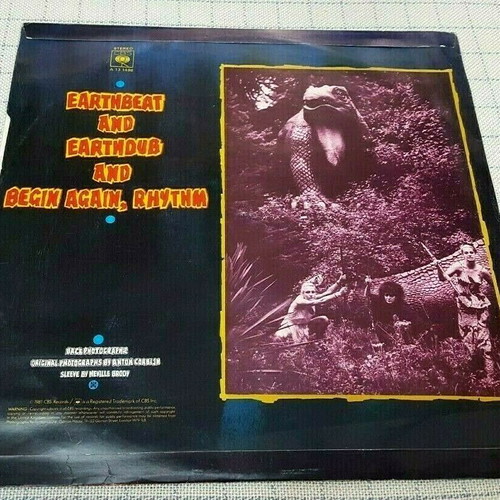 The Slits Earthbeat 12' vinyl used, electronic