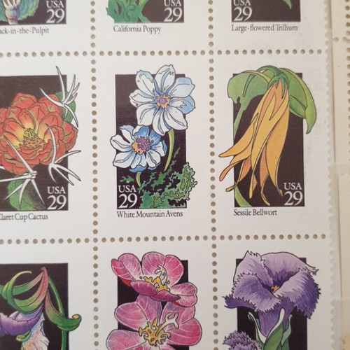 29c WILD FLOWERS SHEET 1992, USA Scott #2647 MNH. (30).