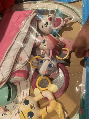 Tiny Love Tiny Princess Tales Gymini Deluxe Baby Gym like new