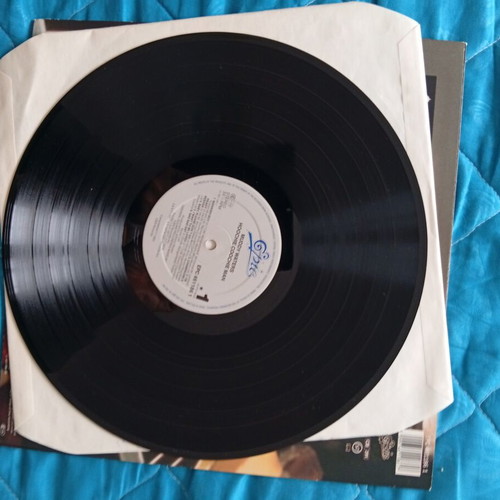 Muddy Waters and Chuck Berry vinyl records like new, rock