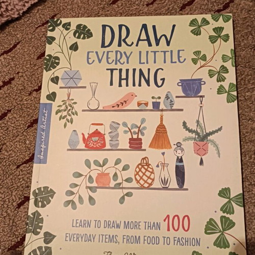 Draw Every Little Thing book like new, hobby