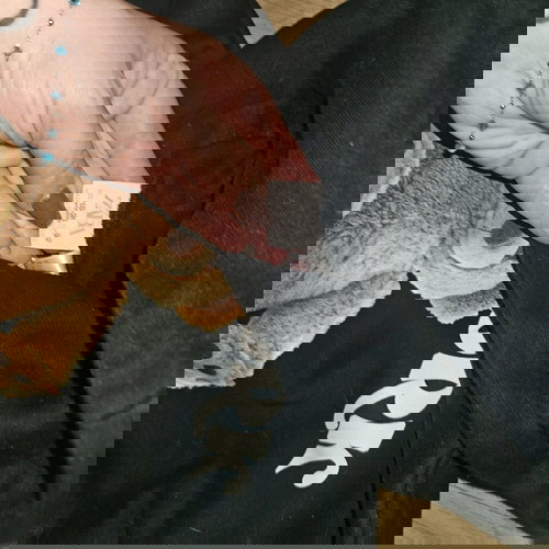 Φουτερ και παντελόνι Zara 18-24 μηνών σαν καινούργιο