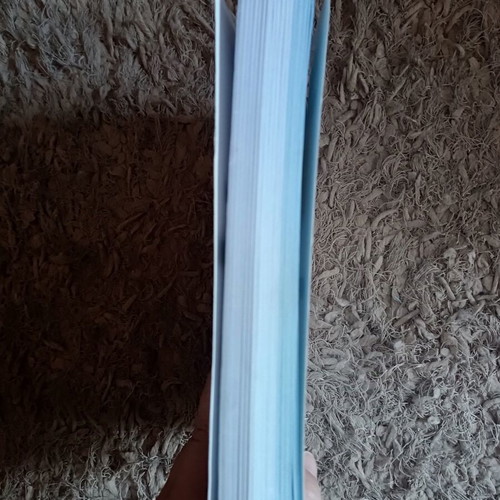 Physics textbook for Grade 3 Lyceum, like new, Savvalas editions