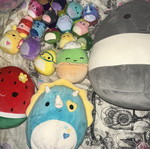Squishmallows large plush collection