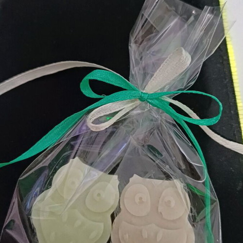 Wax melt favors new, pack of 50, soy plant-based wax