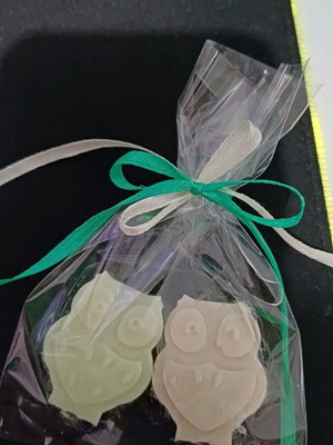 Wax melt favors new, pack of 50, soy plant-based wax