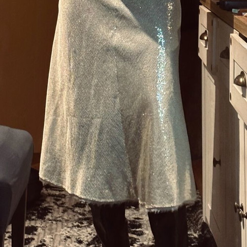 Zara skirt new with mini sequins gold and silver