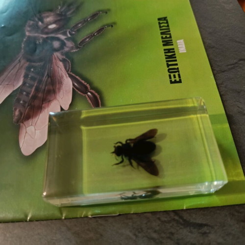 Alithina Zoyfia issue 36 used