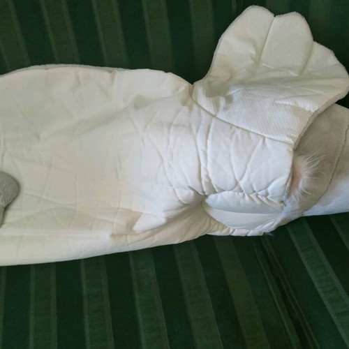 Large NICI plush seal like new for play and decoration