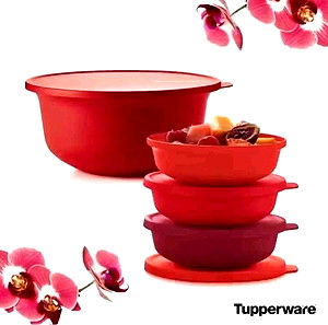 Tupperware 4 λίτρα και 450ml