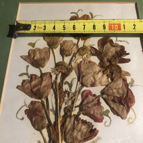 Frames with dried flowers bouquet like new, set of two