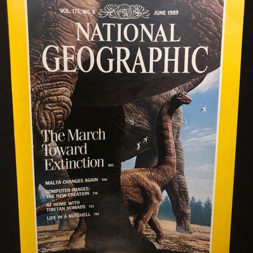 National Geographic magazine used June 1989 Vol. 175 No. 6 with supplement