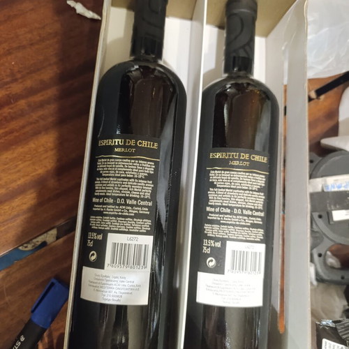 Espiritu de Chile Merlot red wine set vintage 2005, 2 bottles