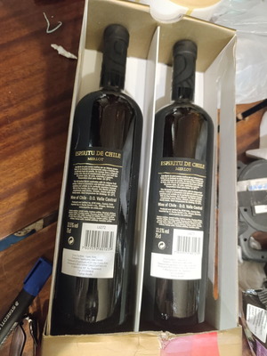 Espiritu de Chile Merlot red wine set vintage 2005, 2 bottles