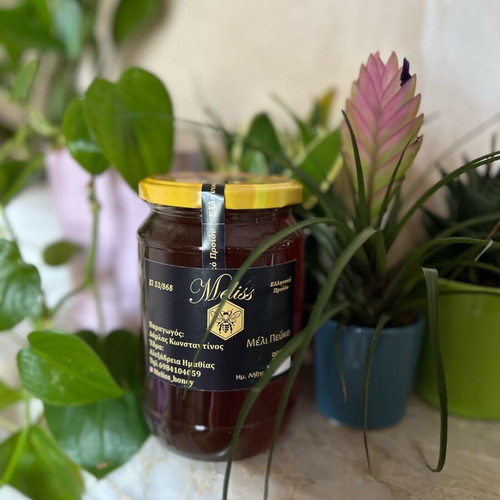 Pine Honey from Chalkidiki New