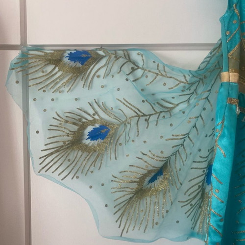 Jasmine costume from Disneyland with slight wear, size 7-8