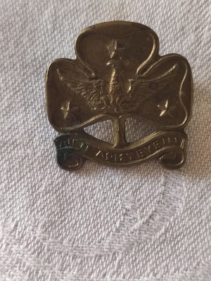 Συλλεκτική καρφίτσα στρατιωτική μεταχειρισμένη