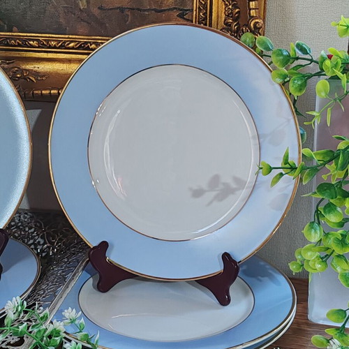 Royal Doulton porcelain dinner plates set of 6, gold rim, 25 cm