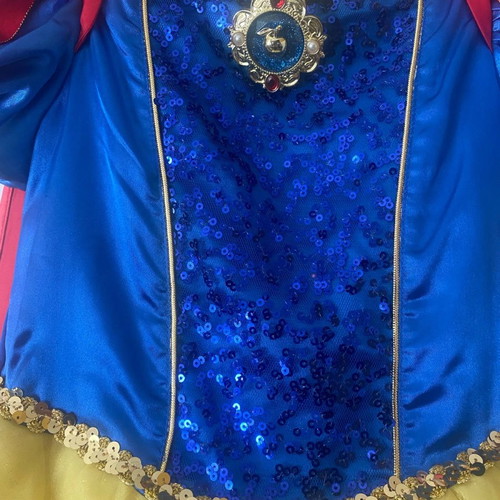 Snow White Costume from Disneyland worn once
