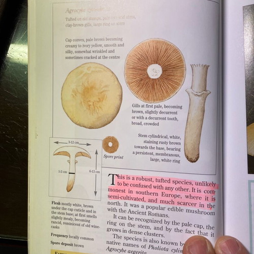 Easy Edible Mushroom Guide like new