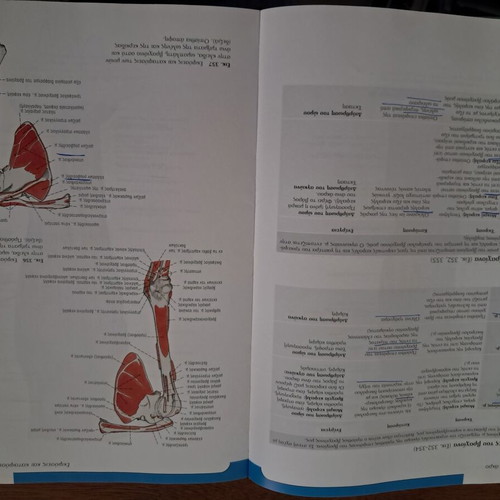 Sobotta Atlas of Human Anatomy Volumes A & B like new, Greek