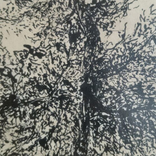 Ink drawing framed art vintage author's signed used