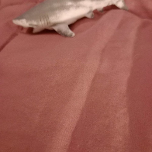 Shark toy used made of soft material