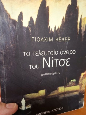 The Last Dream of Nietzsche used novel