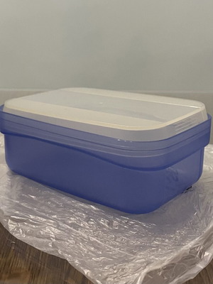 Tupperware Swing Box 0.7lt