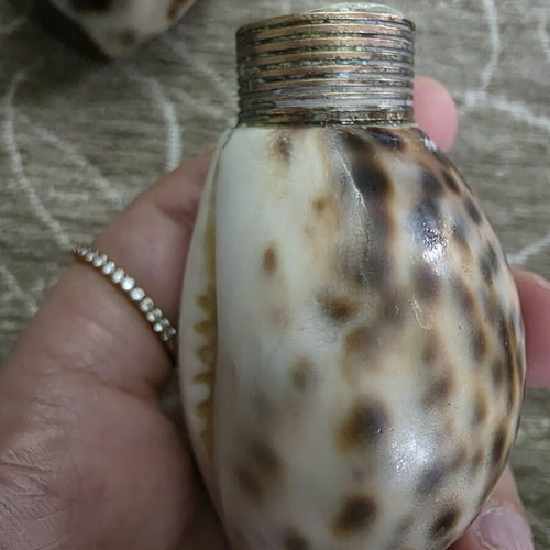Salt and pepper set made of natural shell like new
