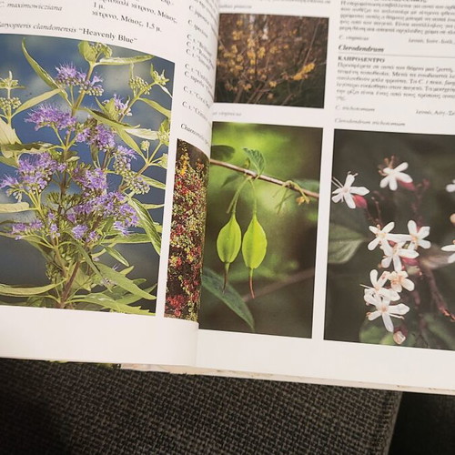 Garden encyclopedia, detailed guide to popular garden plants