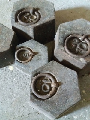 Collectible plastigma yeasts
