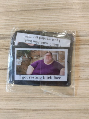 Meme fridge magnets set of 5 new, humorous quotes