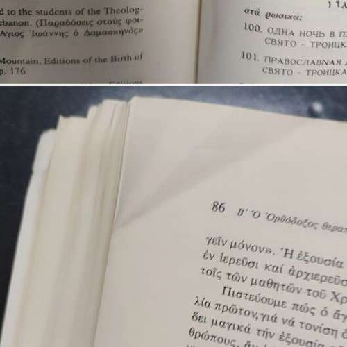 Orthodox Psychotherapy book