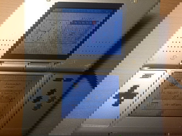 Nintendo DS fat