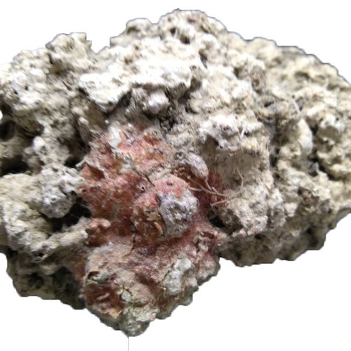 Rock used from sea bottom