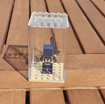 Minecraft LEGO minifigure in display box