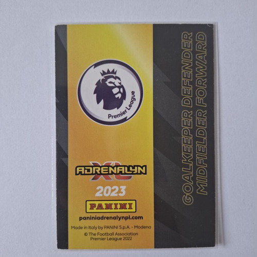 Panini Adrenalyn XL Premier League 2023 Invincible card new