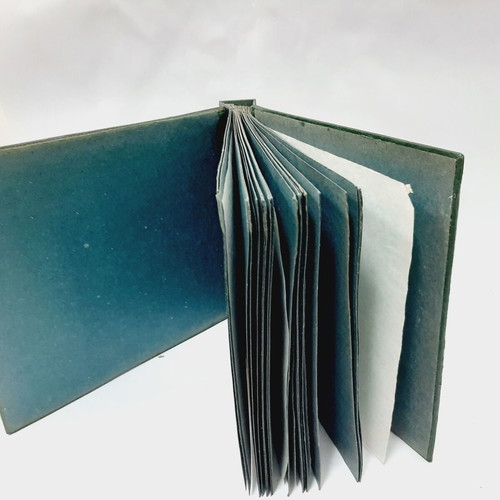 Vintage photo album 60s green embossed cloth with leather tie, 25 leaves