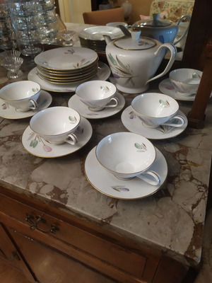 Rosenthal Bettina vintage porcelain tea set 20 pieces like new