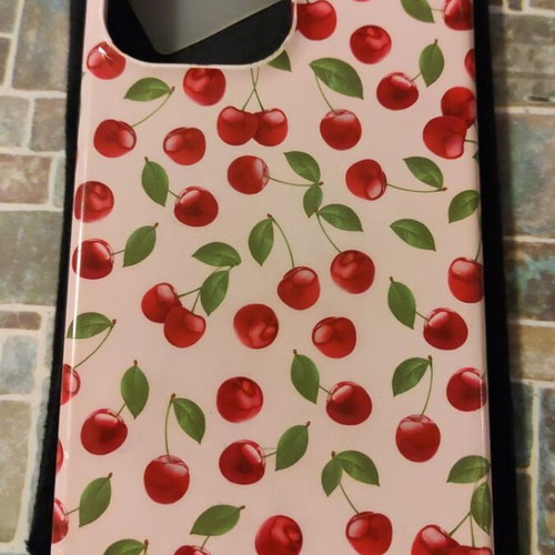 Burga case for iPhone 12pro max used